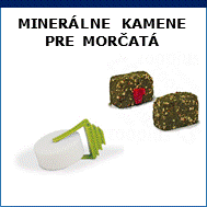 kamene pre morčatá